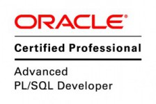 Oracle logo 1